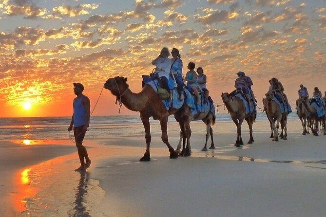 Camel & Horse Riding