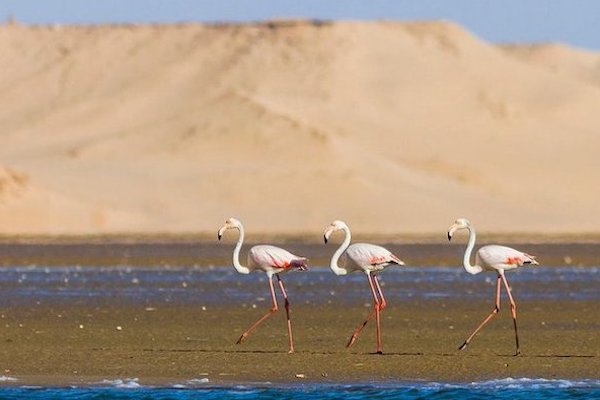 Agadir & Souss-Massa gallery photo 4