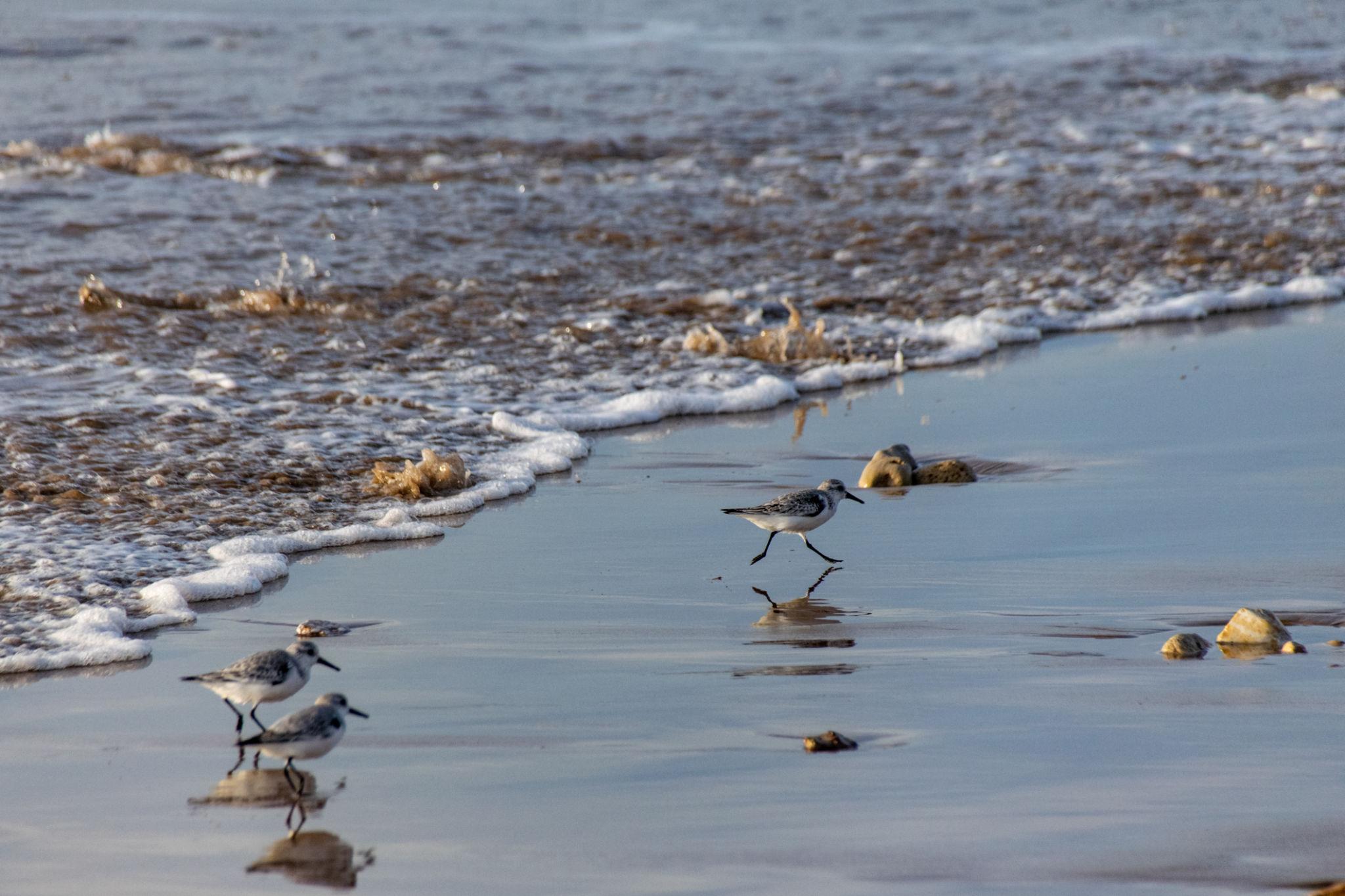 Agadir & Souss-Massa gallery photo 2