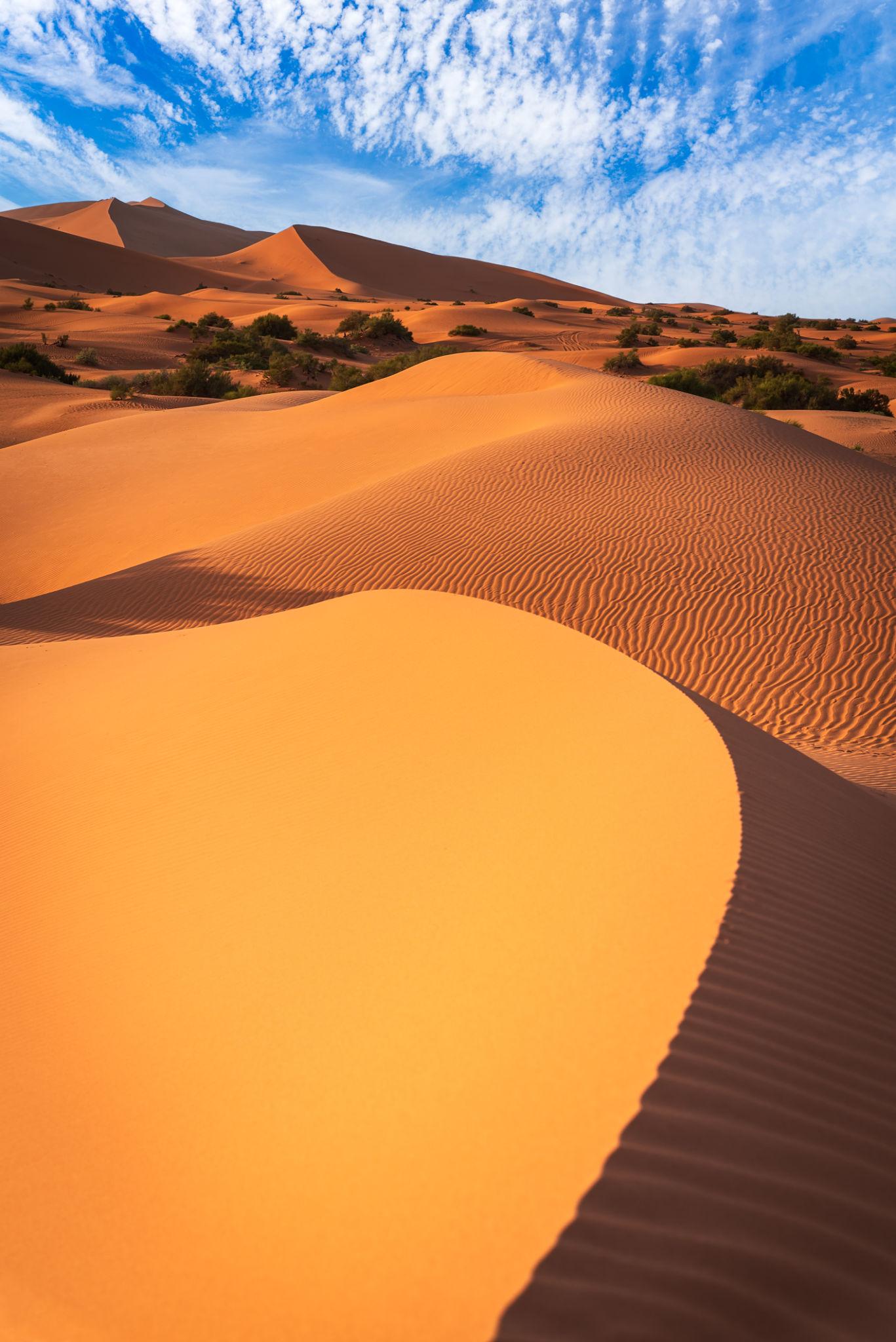 Sahara Desert