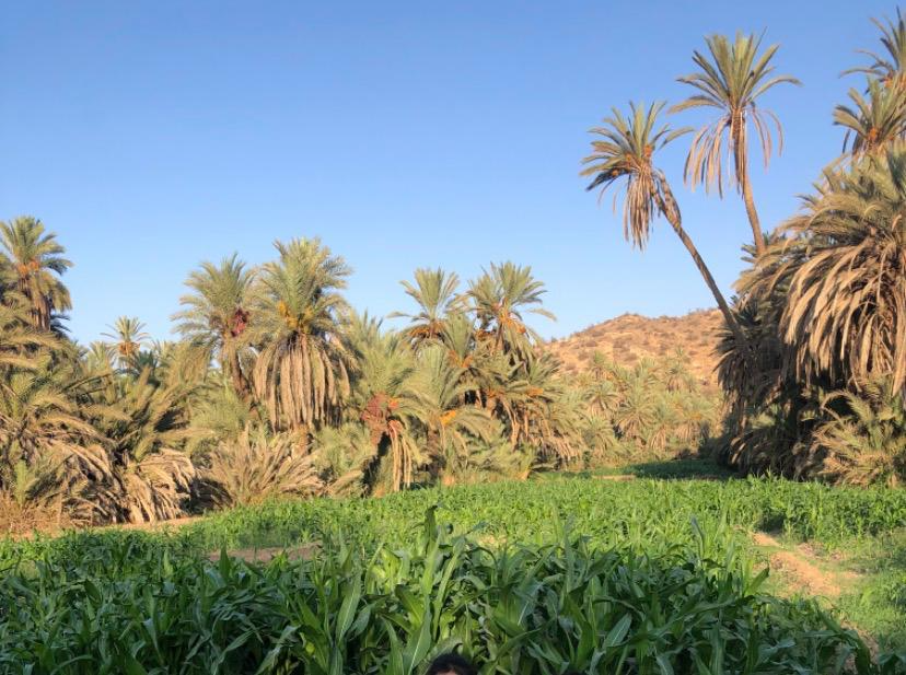 Taroudant gallery photo 3
